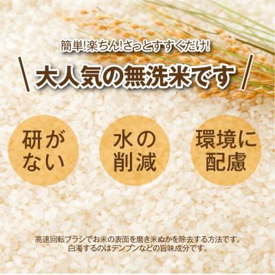 ふるさと納税 田村市 【令和8年産】 無洗米 田村市産 ひとめぼれ 精米 10kg |  | 02