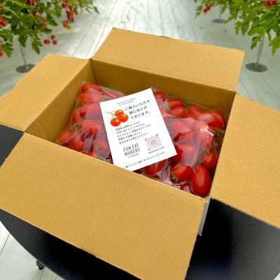 ふるさと納税 大熊町 フルーツ級の甘さ!激あまミニトマト(アイコ)1kg