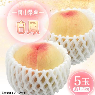 ふるさと納税 井原市 2026年先行予約 白鳳 5玉(エース)