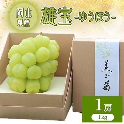 ふるさと納税 井原市 2026年先行予約 雄宝
