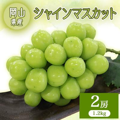 ふるさと納税 井原市 2026年先行予約 シャインマスカット 2房