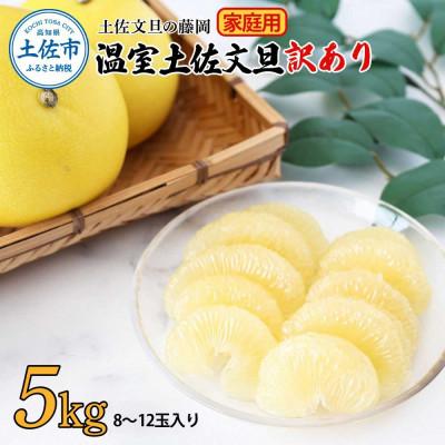 ふるさと納税 土佐市 [土佐文旦の藤岡]温室土佐文旦[訳あり]家庭用 5kg(8〜12玉)