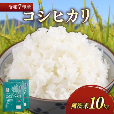 ふるさと納税 彦根市 令和7年産新米コシヒカリ白米無洗米10kg(5kg×2袋) 粘り、甘み、香りの絶妙なバランス