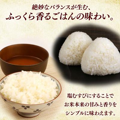 ふるさと納税 彦根市 令和7年産 コシヒカリ白米無洗米10kg(5kg×2袋