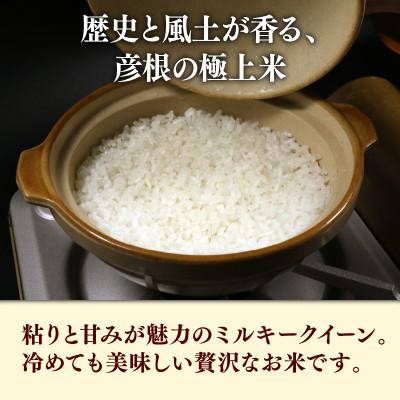 ふるさと納税 彦根市 令和7年産 ミルキークイーン白米無洗米5kg 甘みと