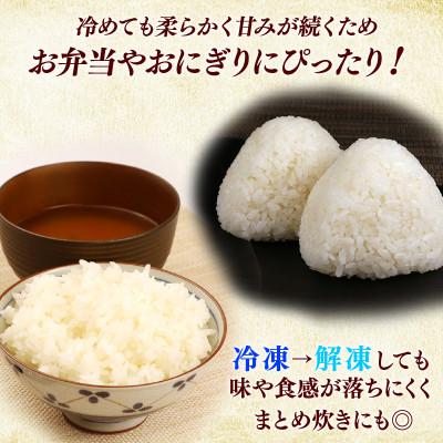 ふるさと納税 彦根市 令和7年産 ミルキークイーン白米無洗米5kg 甘みと