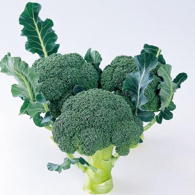 ふるさと納税 さぬき市 ブロッコリー 約2.5kg