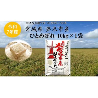 ふるさと納税 登米市 [精米]令和7年宮城県登米市産「ひとめぼれ」10kg×1袋