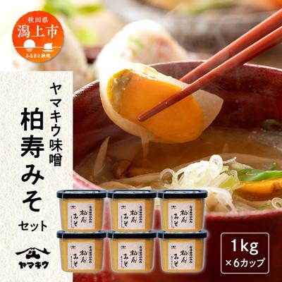 ふるさと納税 潟上市 柏寿味噌 1kgカップ×6個セット