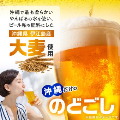 ふるさと納税 中城村 【オジー自慢のオリオンビール】オリオン ザ・ドラフト 350ml×24本 |  | 02