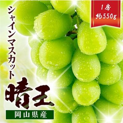 ふるさと納税 浅口市 先行予約 シャインマスカット晴王 1房 約550g 9月〜10月発送 岡山県産 露地栽培