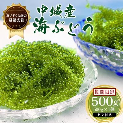 ふるさと納税 中城村 【沖縄から産地直送】県産海ぶどう品評会最優秀賞受賞!ちゅら海ぶどう500g×1箱 | 