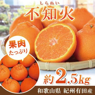 ふるさと納税 北山村 不知火2.5kg ※2026年2月中旬頃〜2026年3月中旬頃に順次発送予定[uot794]