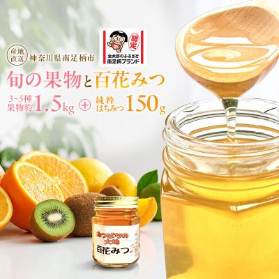 ふるさと納税 南足柄市 南足柄の旬の果物1.5kgとはちみつ150gのセット