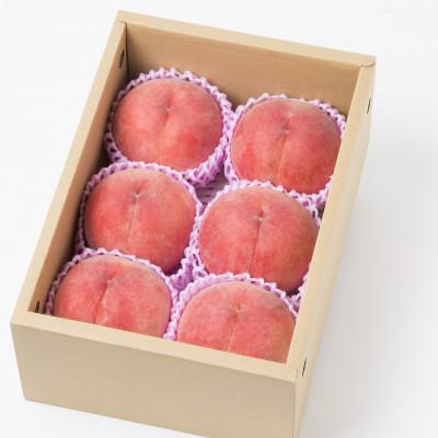 ふるさと納税 伊達市 福島県伊達市産 川中島白桃 約2kg(5〜8玉)