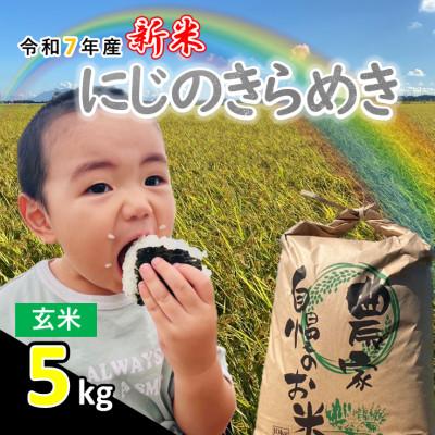 ふるさと納税 つくばみらい市 [新米]令和7年産 茨城県産 にじのきらめき 玄米 5kg