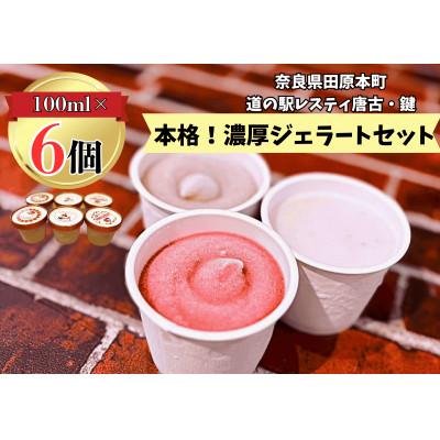 ふるさと納税 田原本町 大人気!奈良田原本町の本格ジェラート6個セット