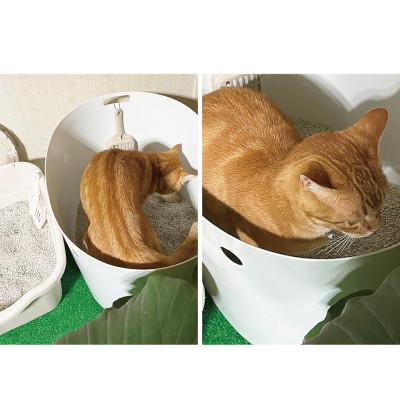 ふるさと納税 海南市 人工芝タイプの猫砂マット 89×70 BDK1013151の画像