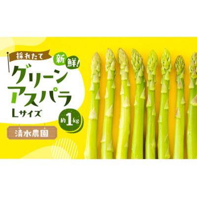 ふるさと納税 富良野市 2026年先行予約 ふらの産グリーンアスパラLサイズ計1kg