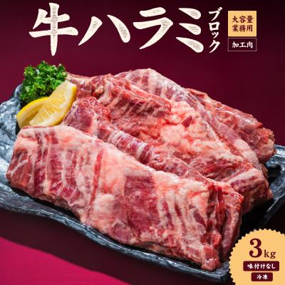 ふるさと納税 松山市 牛ハラミ ブロック 3kg