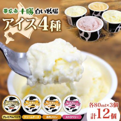 ふるさと納税 帯広市 十勝白い牧場アイス 全味食べ比べセット(4種×各3個)