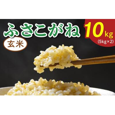 ふるさと納税 袖ケ浦市 令和7年産 ふさこがね 玄米 10kg(5kg×2)