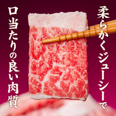 ふるさと納税 松山市 牛カルビスライス3kg |  | 02