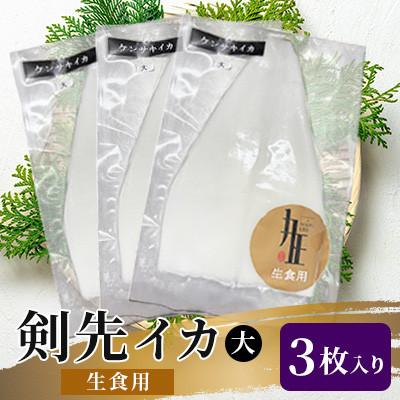 ふるさと納税 壱岐市 剣先イカ生食用大3枚入