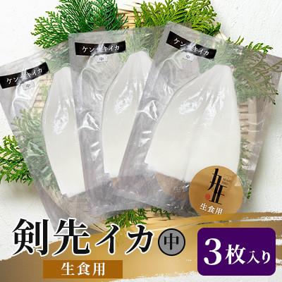 ふるさと納税 壱岐市 剣先イカ生食用中3枚入