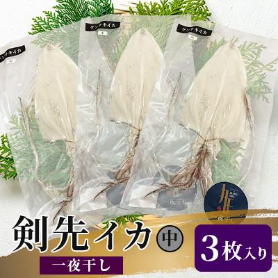 ふるさと納税 壱岐市 剣先イカ一夜干し中3枚入