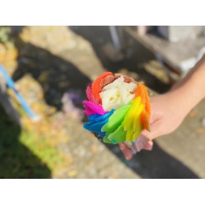 ふるさと納税 十和田市 10色アイスセット