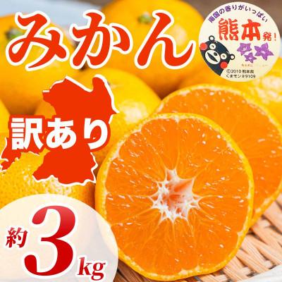 ふるさと納税 荒尾市 みかん 訳あり サイズミックス 3S-3L 約3kg(荒尾市)