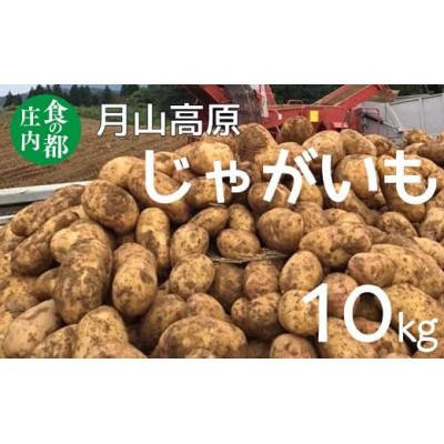 ふるさと納税 三川町 月山高原のじゃがいも 10kg ※10月中下旬〜1月下旬発送