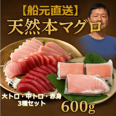 ふるさと納税 高知市 天然本鮪 大トロ 中トロ 赤身 セット(各約200g