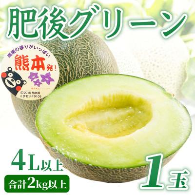 ふるさと納税 玉名市 肥後グリーンメロン 1玉 4L以上 約2kg以上(玉名市)