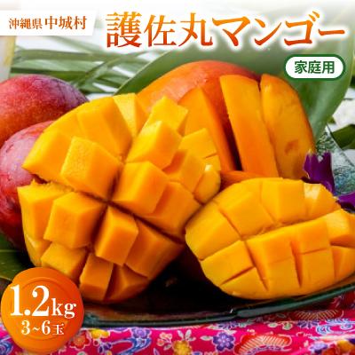 ふるさと納税 中城村 [2026年6月下旬から順次発送・訳あり]護佐丸マンゴー1.2kg(3〜6玉)