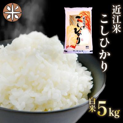 ふるさと納税 竜王町 令和7年産 新米 近江米 こしひかり 白米 5kg