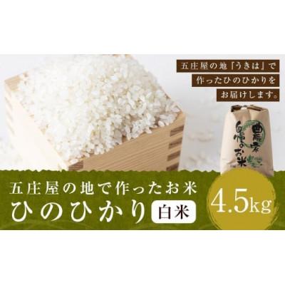 ふるさと納税 うきは市 五庄屋の地で作ったお米 ひのひかり 白米4.5kg U160-1RC-PD02-04