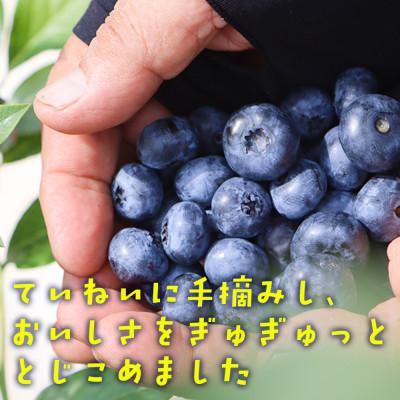 ふるさと納税 柳津町 【山の恵みぎゅっと!】手摘みブルーベリー
