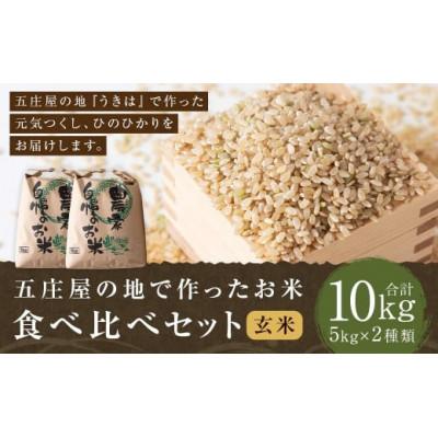 ふるさと納税 うきは市 五庄屋の地で作った玄米食べ比べ(元気つくし・ひのひかり) 各5kg U160-1RC-BWSE-10