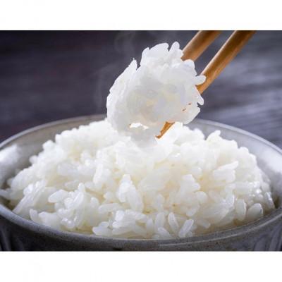 ふるさと納税 さぬき市 [令和7年産]香川県さぬき市産コシヒカリ 5kg