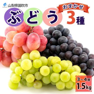 ふるさと納税 笛吹市 [2026年先行予約]山梨県産 泰果園のぶどう 3種おまかせ 3〜4房 約1.5kg 笛吹市