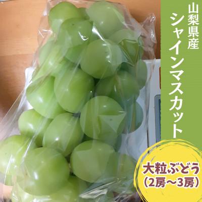 ふるさと納税 中央市 [2026年発送予定][数量限定]山梨県産大粒のぶどう シャインマスカット 2〜3房