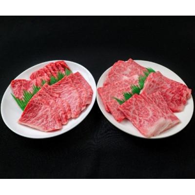 ふるさと納税 丹波市 神戸ビーフA5プレミアム希少部位4種盛り 600g ロ-ス・カルビ・霜降り肉・赤身肉(各150g)
