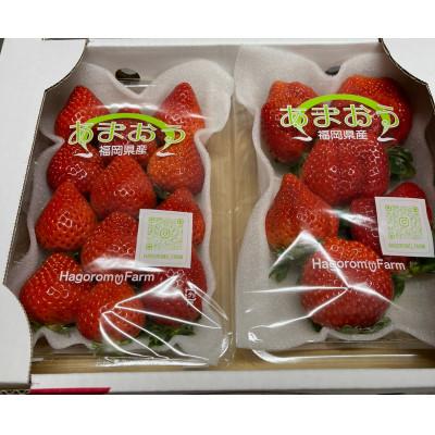 ふるさと納税 宇美町 ふくおかエコ農産物認証いちご 福岡県産あまおう苺 約250g×2P(3月から4月中旬発送)宇美町