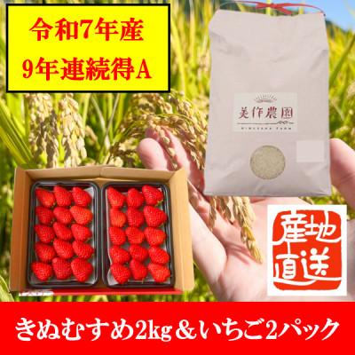ふるさと納税 美作市 [令和7年産]新米・精米 きぬむすめ2kg&amp;いちご詰合せ(約280g×2パック)