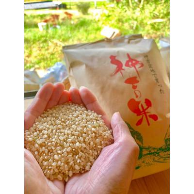 ふるさと納税 南丹市 [令和7年産]京都丹波産 コシヒカリ 10kg 玄米(栽培期間中農薬不使用)