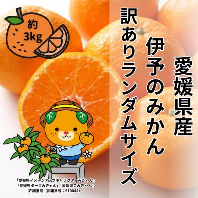 ふるさと納税 伊予市 愛媛県伊予市産 訳ありランダムサイズ 伊予のみかん 約3kg