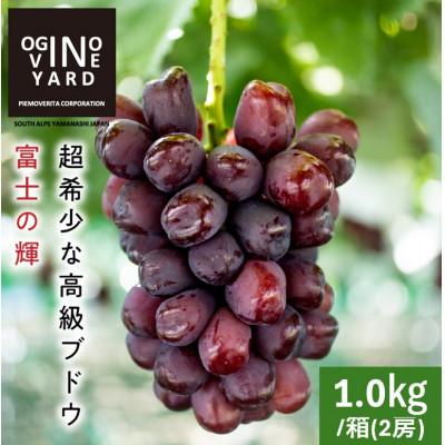 ふるさと納税 南アルプス市 [2026年秋収穫先行予約]山梨県産 富士の輝 合計1.0kg/箱(2房入)