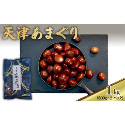 ふるさと納税 八幡市 新栗 天津甘栗 容量 1kg 京都 完熟 殻付き栗